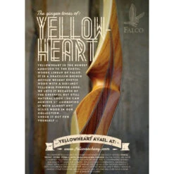 FALCO - Longbow SAGA VINTAGE 65" -Arcs Soldes Magasin falco longbow saga vintage 65 9